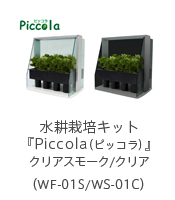 水耕栽培キット『Piccola（ピッコラ）』クリアスモーク/クリア（WF-01S/WS-01C）