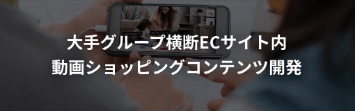 大手グループ横断ECサイト内動画ショッピングコンテンツ開発